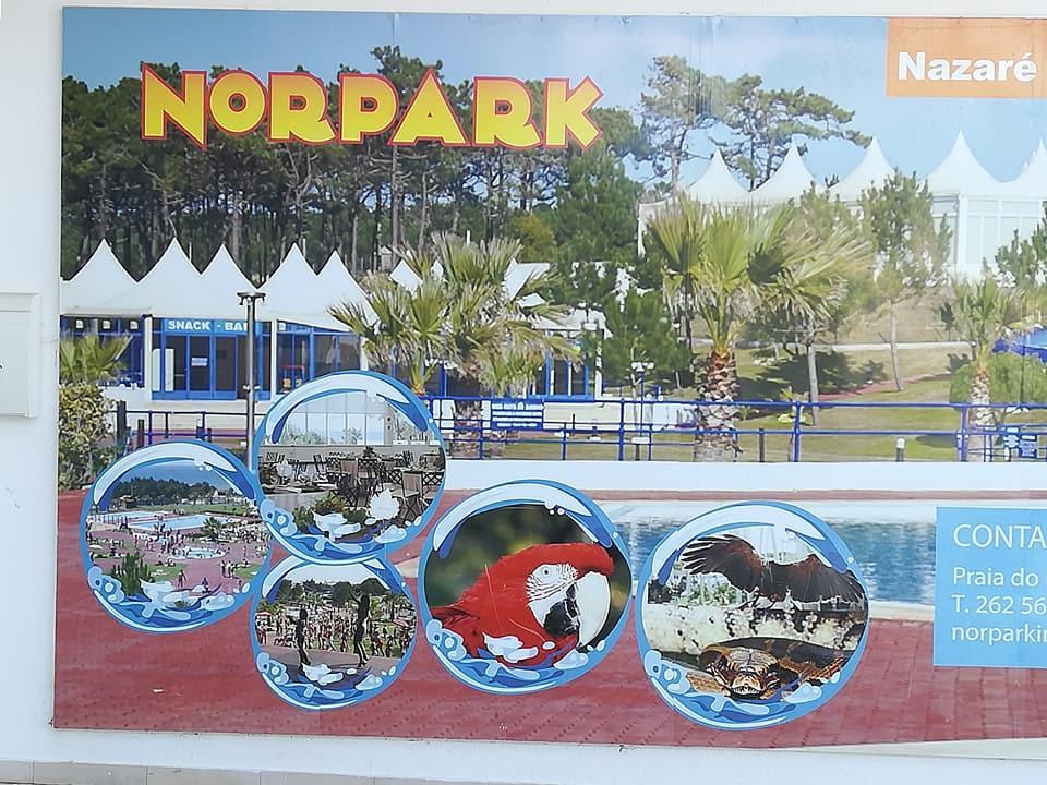 B&B O Pescador Nazare Bagian luar foto